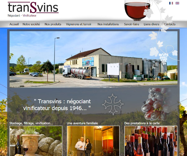 Transvins