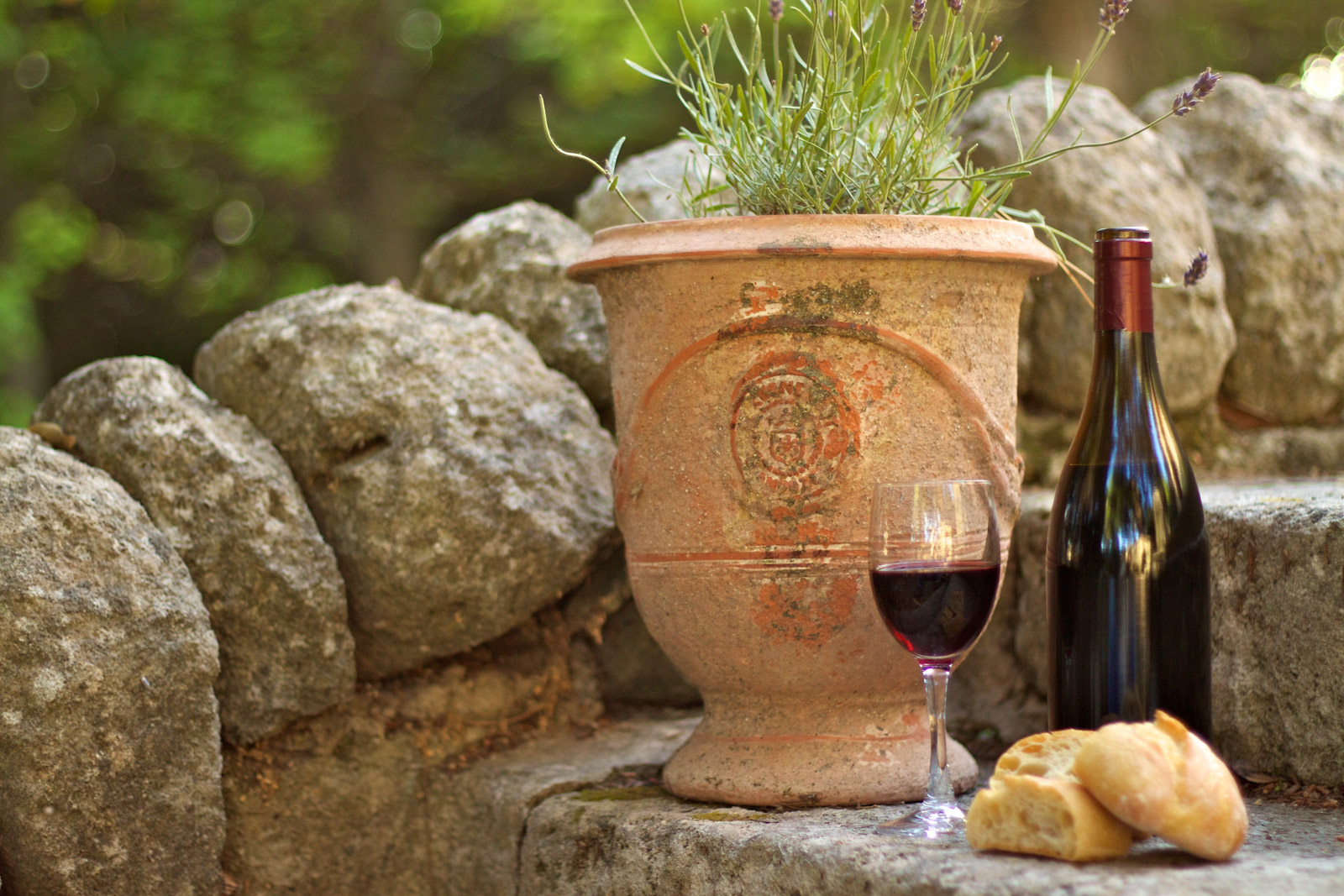 Transvins