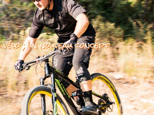 Bear Bike
