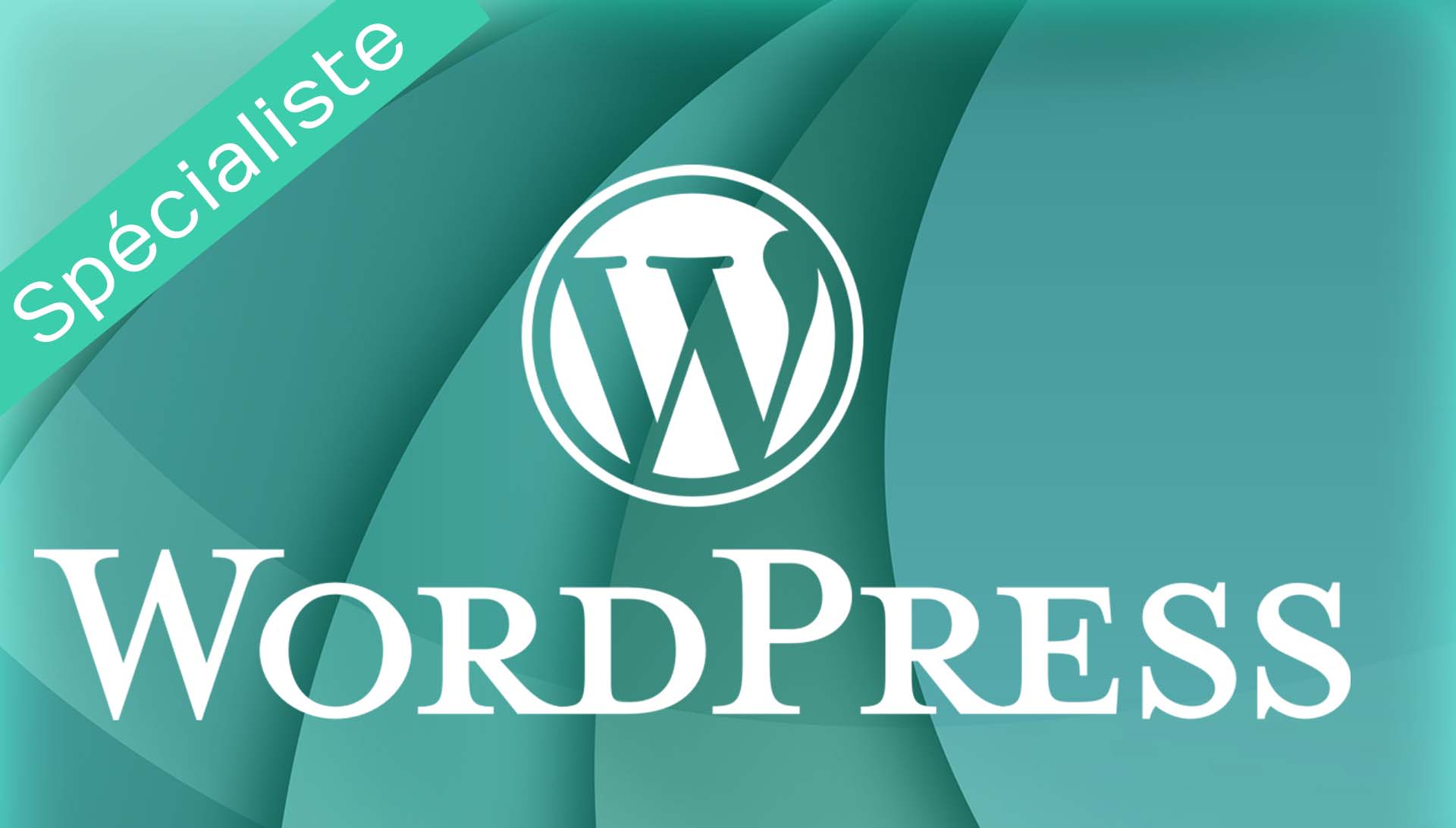 illustration spécialiste wordpress sur le gard et l'hérault