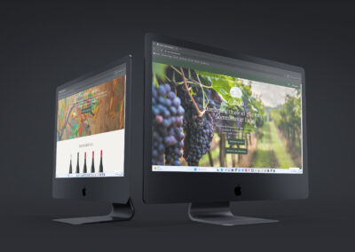 Domaine Guinand – domaine viticole, gîte et animations dans l’Hérault