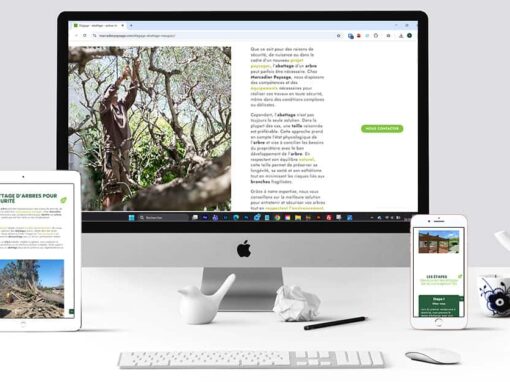 Jardinier paysagiste Marcadier paysage